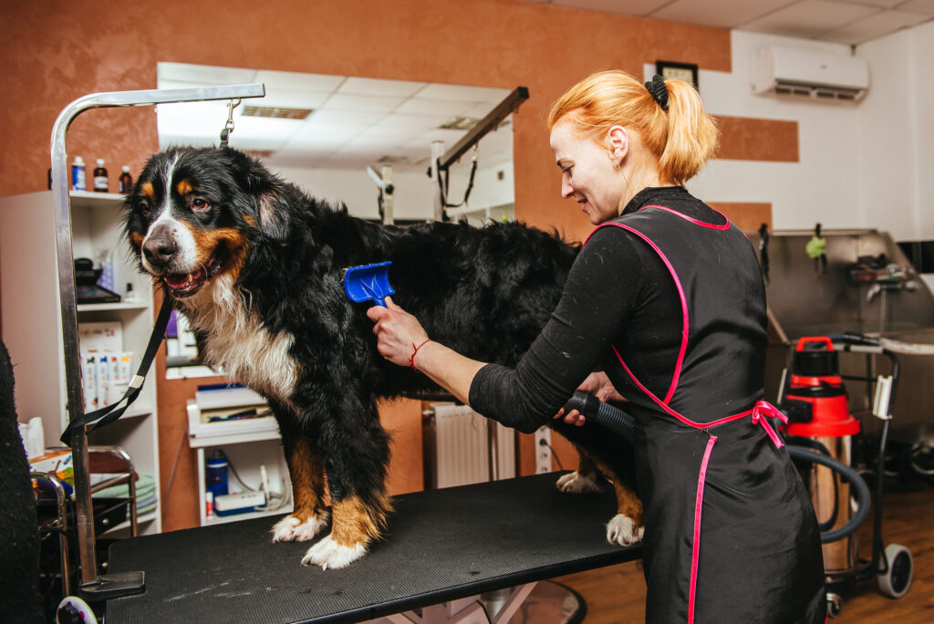 Medio tiempo en Especialista en Aseo de Mascotas